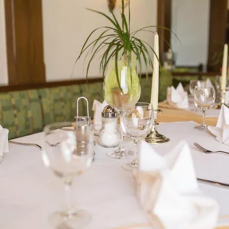 Hotel-restaurant Wiendl מלון 3*