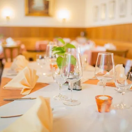 Hotel-restaurant Wiendl 3*