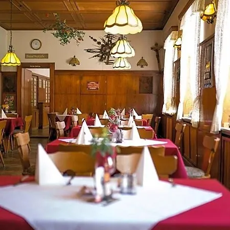 Hotel-restaurant Wiendl 3* Ratisbonne