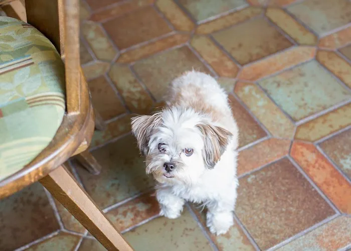 Hotel-restaurant Wiendl 3* Ratisbona