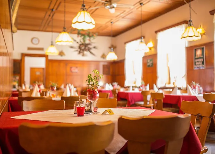 Hotel-restaurant Wiendl 3* Ratisbona